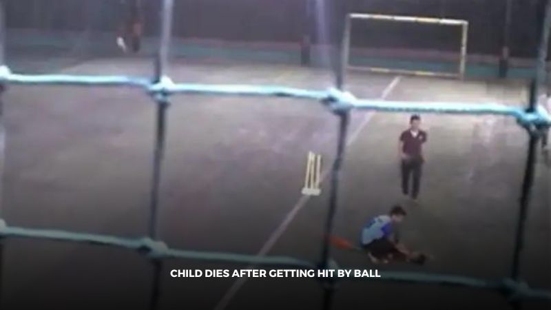 child dies after getting hit by cricket ball