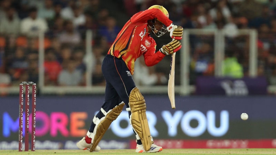 cricket